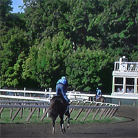 Photoreal horserace painting of Saratoga Race Track by Denis Peterson
